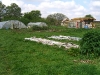 view with poly tunnels in the distance