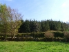 A view over the field (gate and path towards the house)