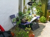 Outdoor stall at the market, selling flowers and books